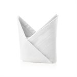 N2020 Vertex 6.0 Napkin