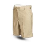 PS20 Men's Work Short