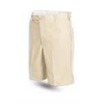 PS20 Men's Work Short